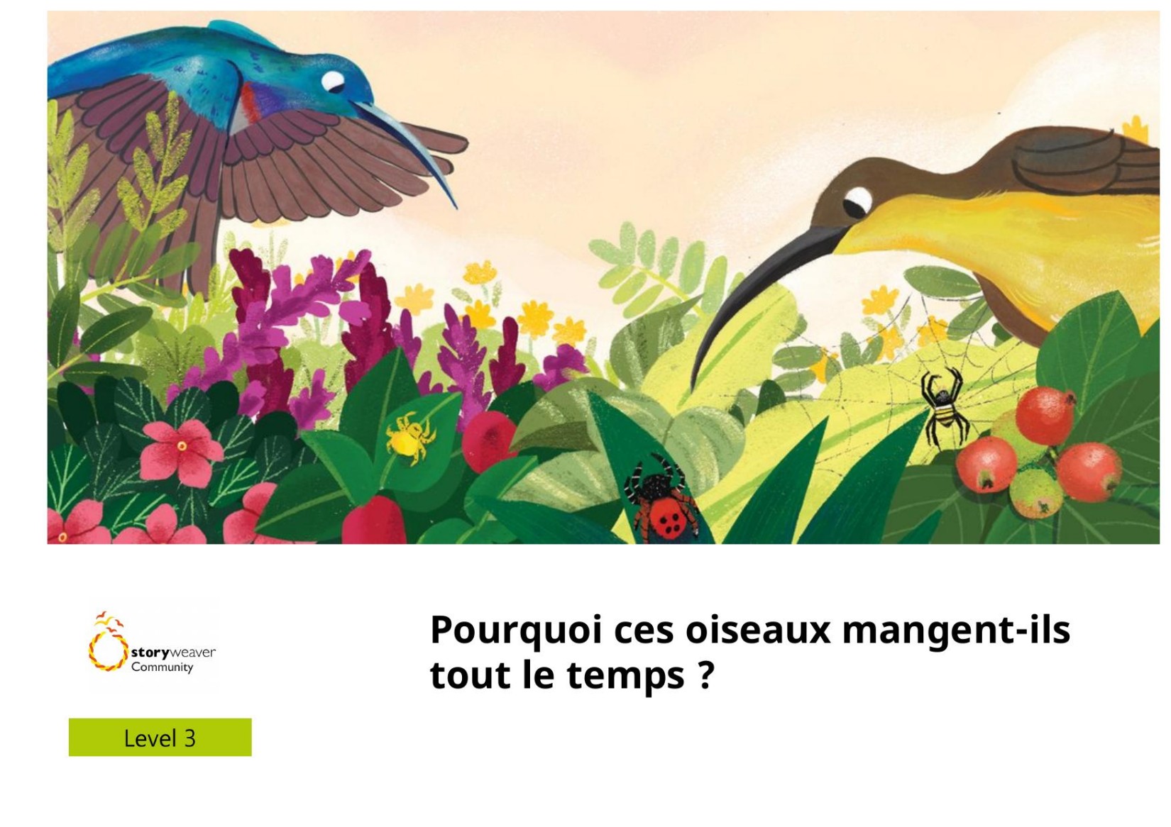 Pourquoi ces oiseaux mangent-ils tout le temps ?